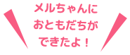 メルちゃんのおうちができたよ