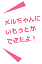 メルちゃんにいもうとができたよ！