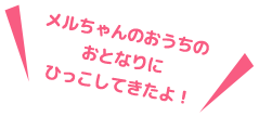 メルちゃんのおうちのおとなりにひっこしてきたよ!